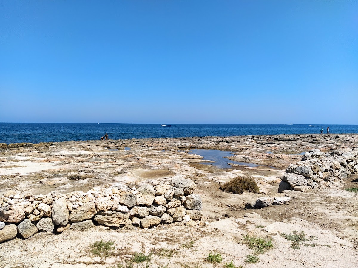 google_place_photos (47)