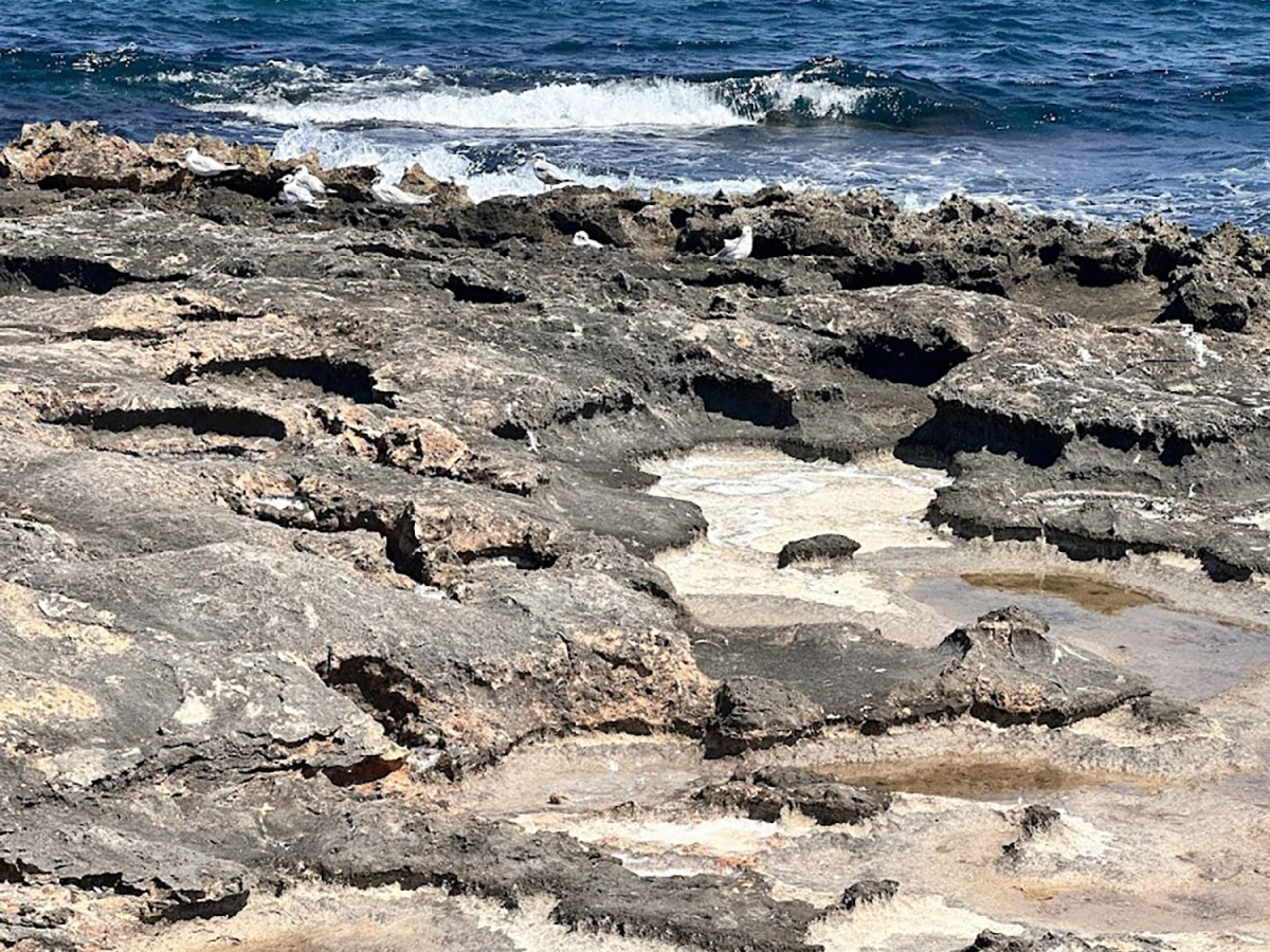 google_place_photos (52)