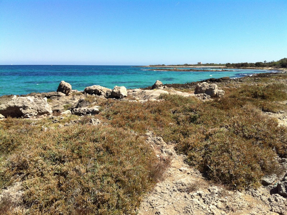 google_place_photos (56)