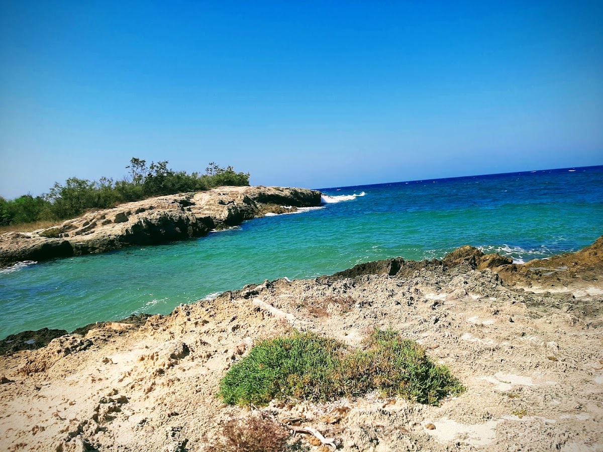 google_place_photos (58)