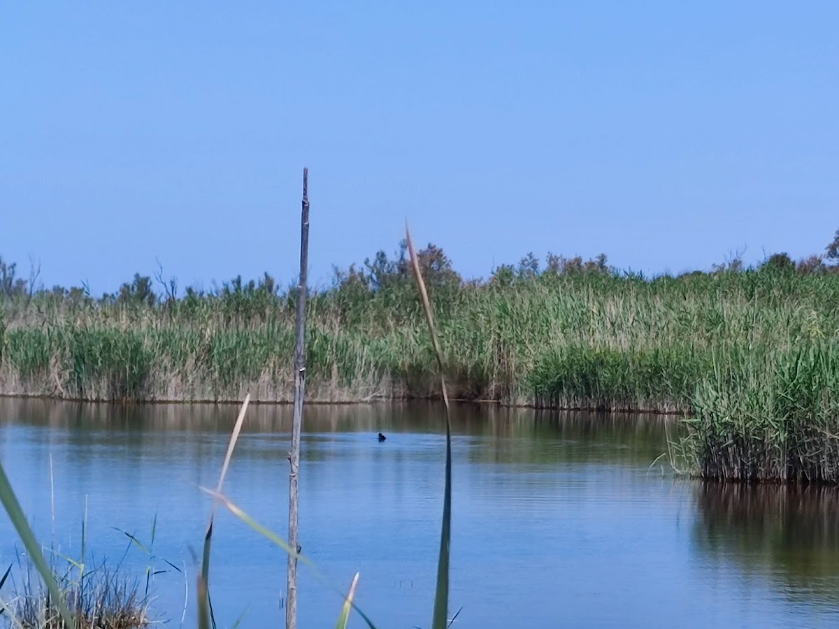 google_place_photos (59)