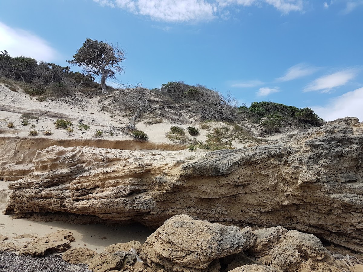 google_place_photos (60)