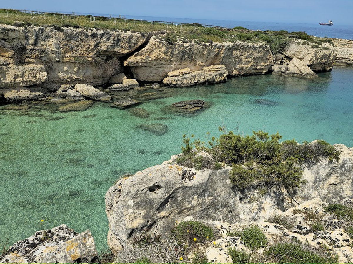 google_place_photos (61)