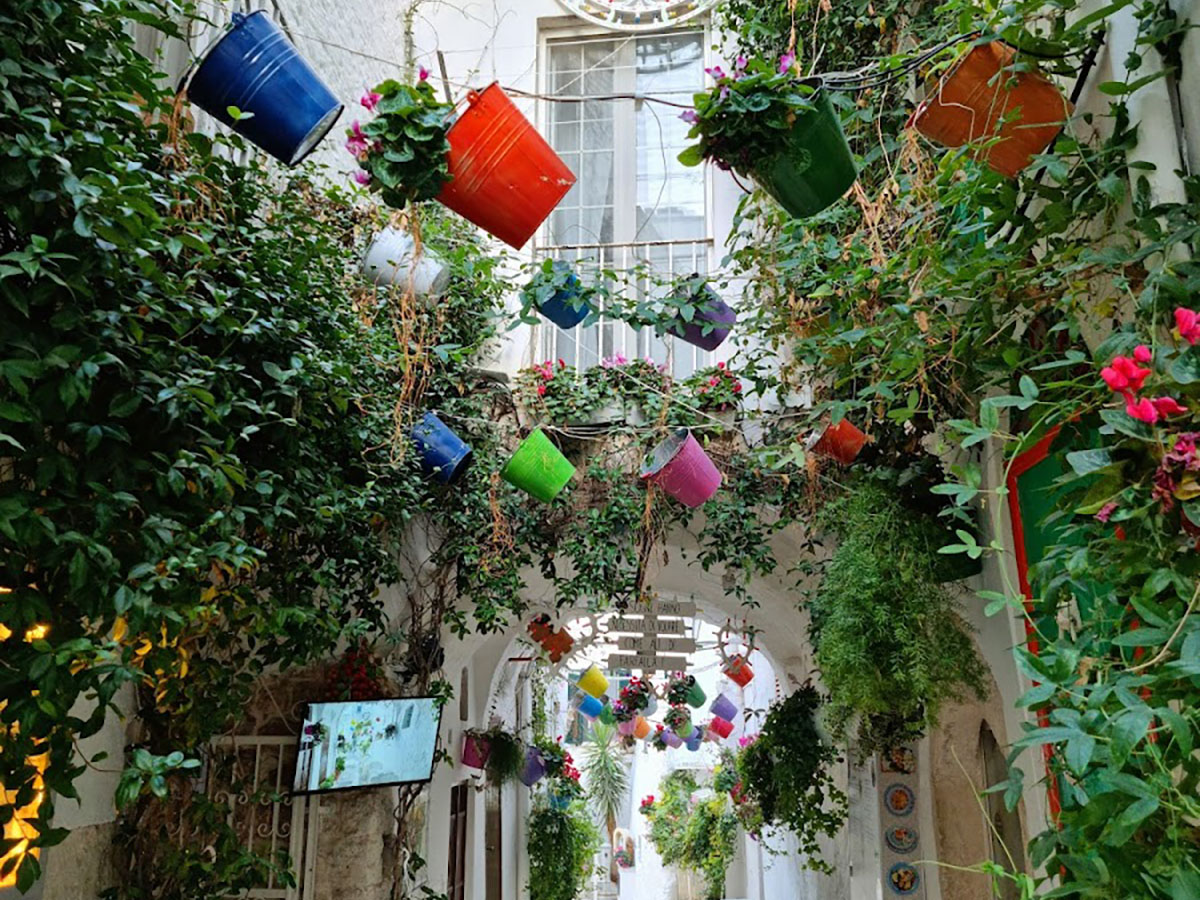 google_place_photos (63)